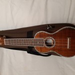 20200621_1734241-500x375