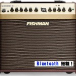 FISHMAN_Loudbox_Mini