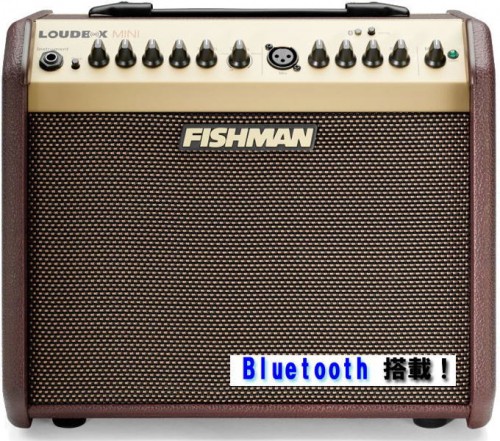 FISHMAN_Loudbox_Mini