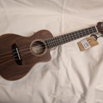 PXL_20241206_014454405