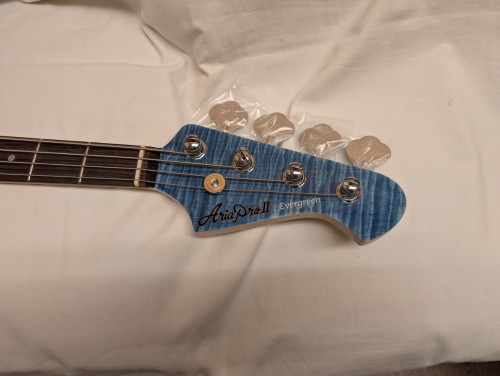 PXL_20250311_063643757.MP